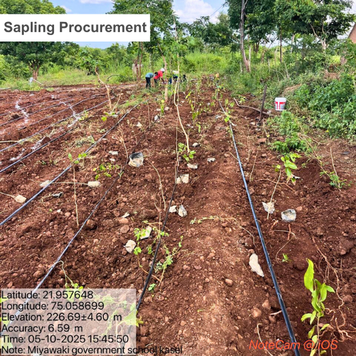 L&T’s Green Symphony: Nurturing Life through Miyawaki Forests – Planting