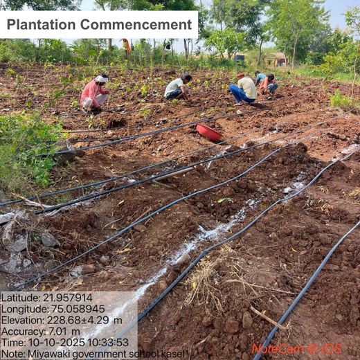 L&T’s Green Symphony: Nurturing Life through Miyawaki Forests – 6 months