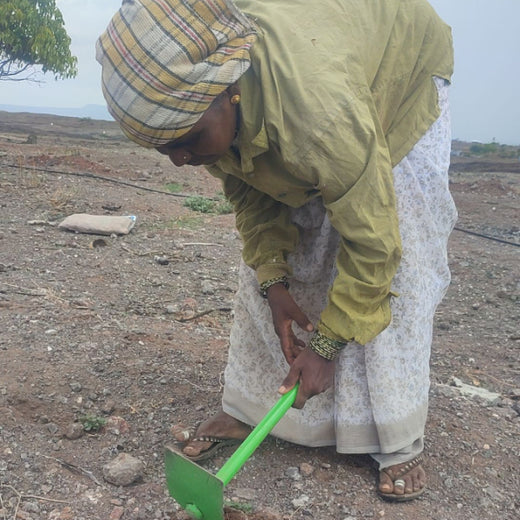 Agroforestry for a Greener Tomorrow: Media Sense’s Tree Plantation Initiative – Planting