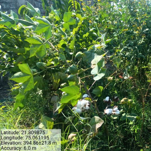 Micro Labs Limited’s World Environment Day Green Drive – 6 months