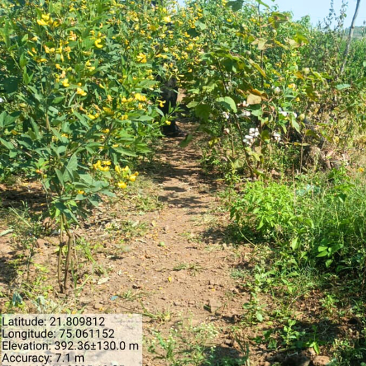 Micro Labs Limited’s World Environment Day Green Drive – 6 months