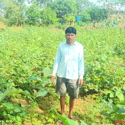 Micro Labs Limited’s World Environment Day Green Drive – 6 months
