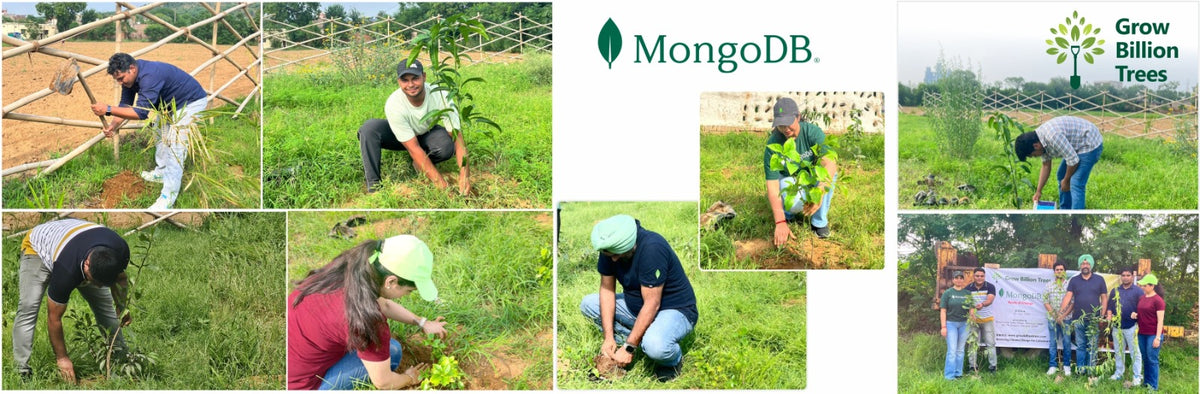 "Eco-Engagement: MongoDB’s Urban Forest Tree Planting for a Greener World"