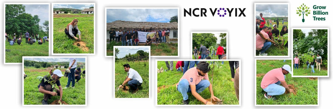 Empowering Green Growth: NCR Voyix's Employee-Driven Urban Forest ...