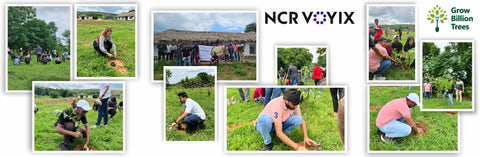 Empowering Green Growth: NCR Voyix's Employee-Driven Urban Forest