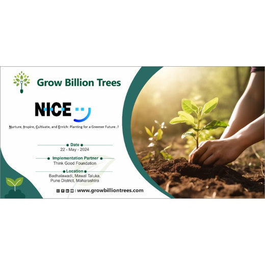 Agroforest Allies: NICE’s Employee Engagement Through Tree Planting – Planting