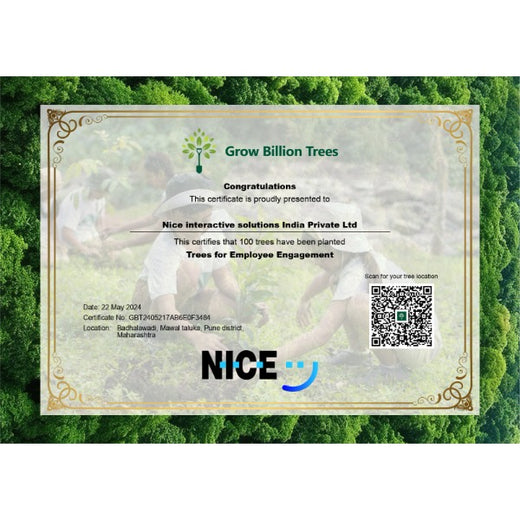 Agroforest Allies: NICE’s Employee Engagement Through Tree Planting – Planting