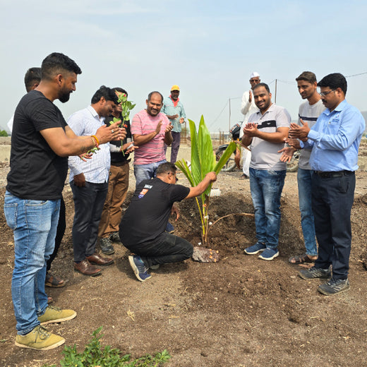 Agroforest Allies: NICE’s Employee Engagement Through Tree Planting – Planting