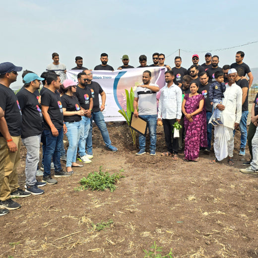 Agroforest Allies: NICE’s Employee Engagement Through Tree Planting – Planting