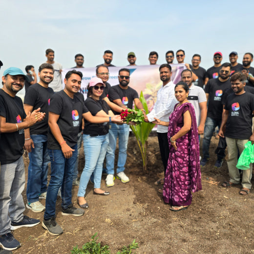 Agroforest Allies: NICE’s Employee Engagement Through Tree Planting – Planting