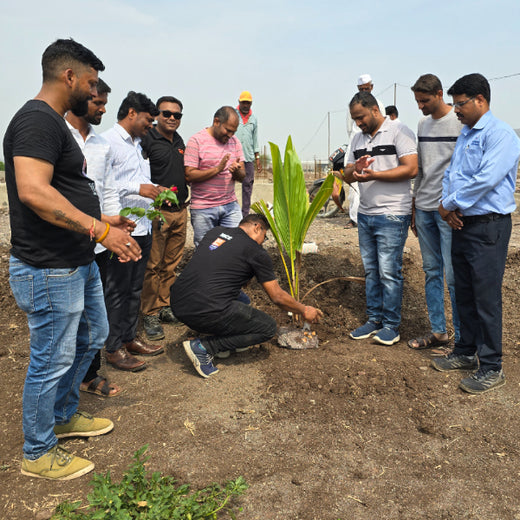 Agroforest Allies: NICE’s Employee Engagement Through Tree Planting – Planting