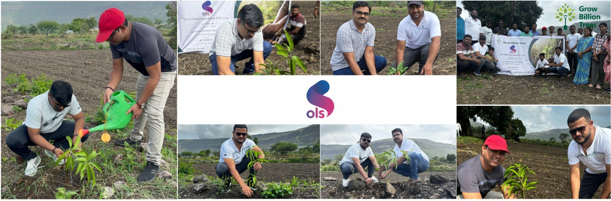 OLS Empowers Sustainability: Engaging Employees Through Agroforestry Tree Plantation