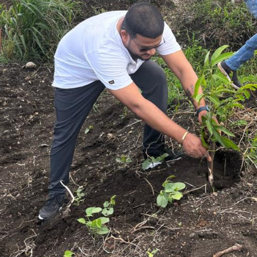 OLS Empowers Sustainability: Engaging Employees Through Agroforestry Tree Plantation – Planting