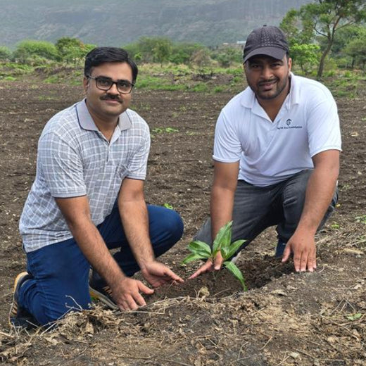 OLS Empowers Sustainability: Engaging Employees Through Agroforestry Tree Plantation – Planting