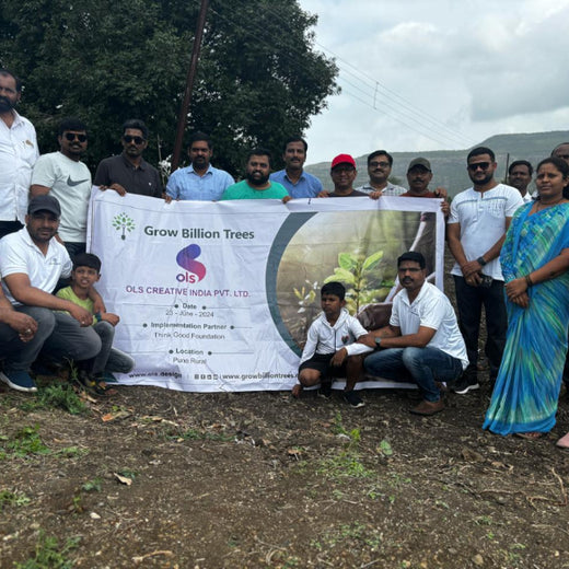 OLS Empowers Sustainability: Engaging Employees Through Agroforestry Tree Plantation – Planting