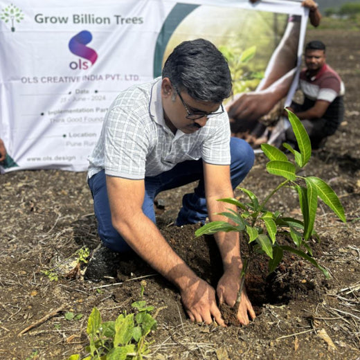 OLS Empowers Sustainability: Engaging Employees Through Agroforestry Tree Plantation – Planting