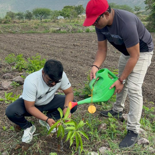 OLS Empowers Sustainability: Engaging Employees Through Agroforestry Tree Plantation – Planting