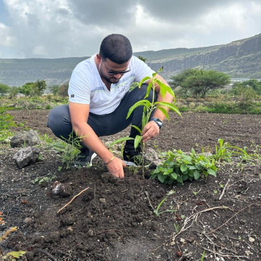 OLS Empowers Sustainability: Engaging Employees Through Agroforestry Tree Plantation – Planting