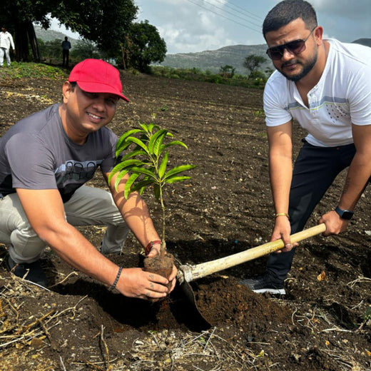 OLS Empowers Sustainability: Engaging Employees Through Agroforestry Tree Plantation – Planting