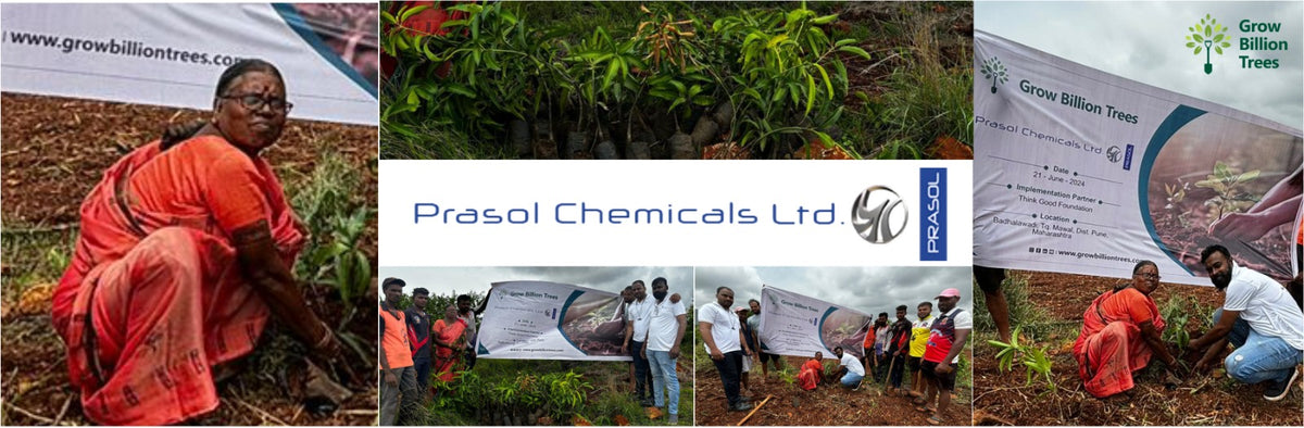 Celebrating Leadership: Prasol Chemicals’ Initiative at 65th Birthday