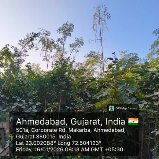 One Machine = One Tree Growing a Greener Tomorrow with Sharp Engineers – 1 year