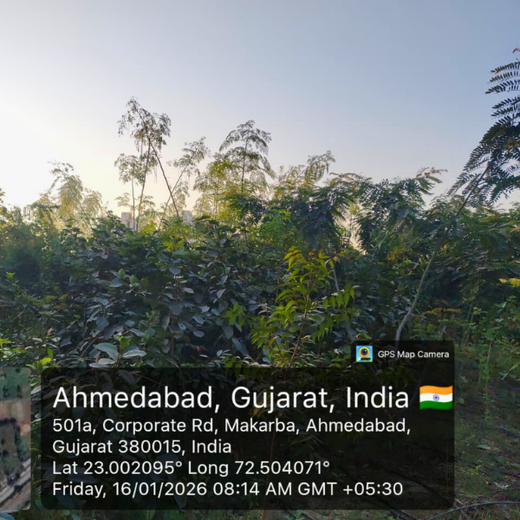 One Machine = One Tree Growing a Greener Tomorrow with Sharp Engineers – 1 year