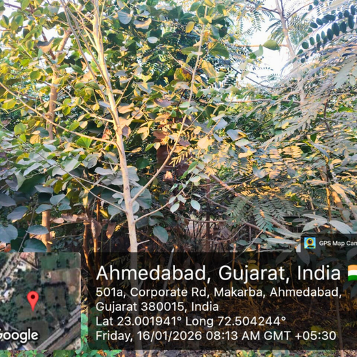 One Machine = One Tree Growing a Greener Tomorrow with Sharp Engineers – 1 year