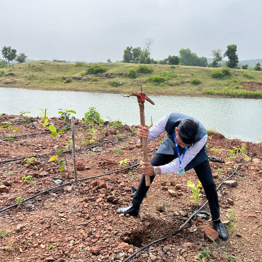 V Group’s Green Legacy: Sustainable Tree Planting for CSR in Kassel, Rajpur (MP) – Planting