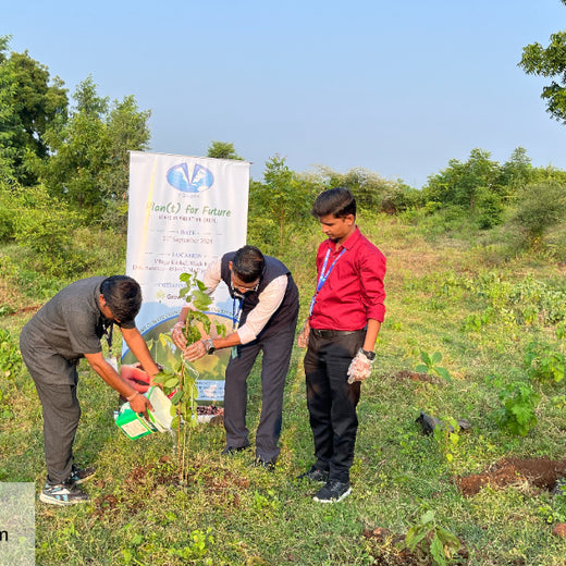 V Group’s Green Legacy: Sustainable Tree Planting for CSR in Siwai – Planting