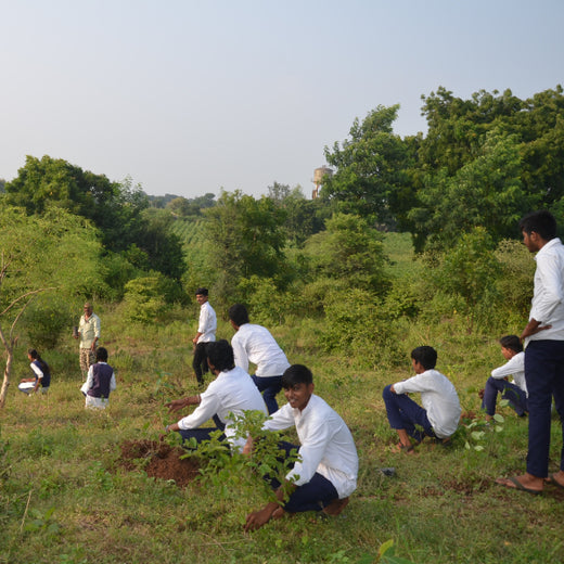 V Group’s Green Legacy: Sustainable Tree Planting for CSR in Kassel, Rajpur (MP) – Planting