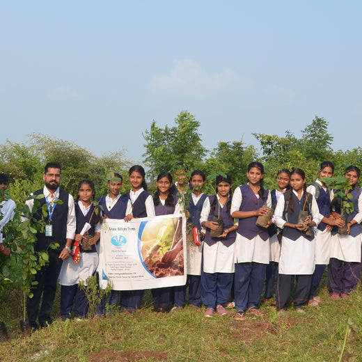 V Group’s Green Legacy: Sustainable Tree Planting for CSR in Siwai – Planting