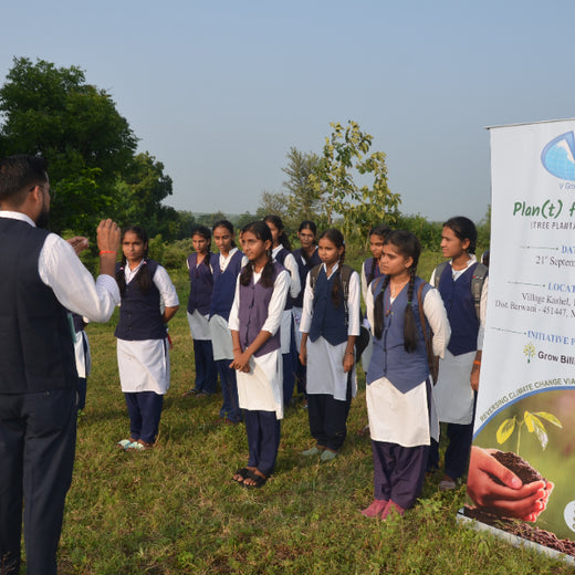 V Group’s Green Legacy: Sustainable Tree Planting for CSR in Siwai – Planting