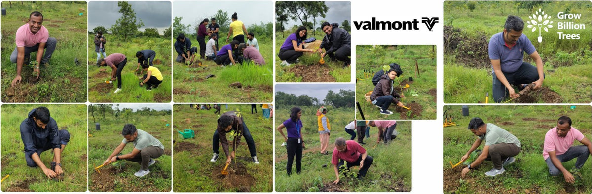 Valmont Structures: Growing Urban Forests, Growing Responsibility