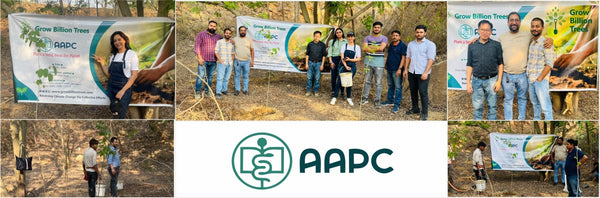 Greening the City:  AAPC India Empowers Employees in Urban Forest Creation
