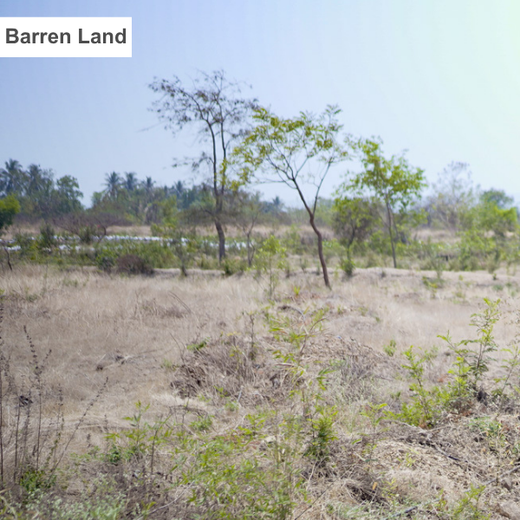 Azbil's Urban Forest Initiative: Empowering Employees, Enriching Ecosystems – Planting