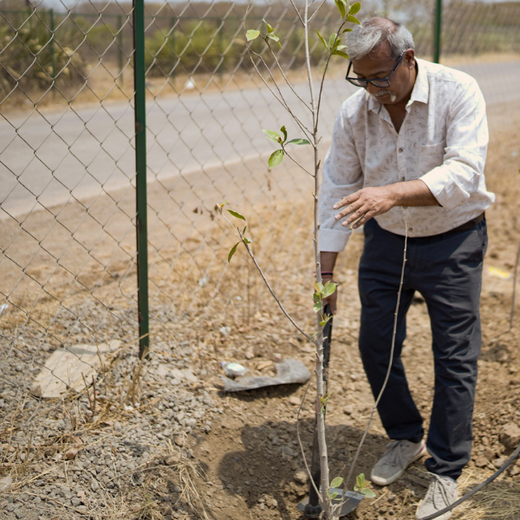 Azbil's Urban Forest Initiative: Empowering Employees, Enriching Ecosystems – Planting