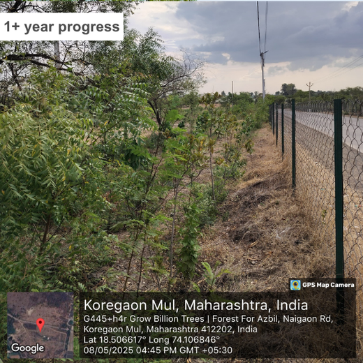 Azbil's Urban Forest Initiative: Empowering Employees, Enriching Ecosystems – 6 months
