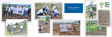 Agroforestry for a Sustainable Tomorrow: Bajaj Allianz General Insurance's ESG Initiative