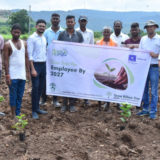 Agroforestry for a Sustainable Tomorrow: Bajaj Allianz General Insurance's ESG Initiative – 6 months