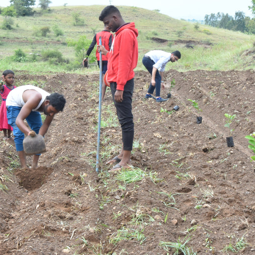 Agroforestry for a Sustainable Tomorrow: Bajaj Allianz General Insurance's ESG Initiative – Planting