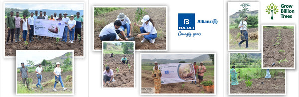 Agroforestry for a Sustainable Tomorrow: Bajaj Allianz General Insurance's ESG Initiative
