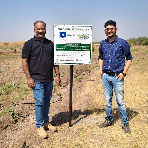 Agroforestry for a Sustainable Tomorrow: Bajaj Allianz General Insurance's ESG Initiative – 1 year