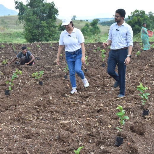 Growing Green: Bajaj Allianz Life Insurance’s Agroforestry Initiative – Planting