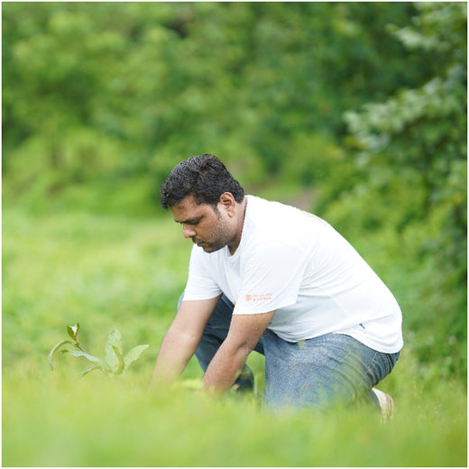 A Century and Beyond: Bank of Baroda's Green Celebration for 117 Years – Planting