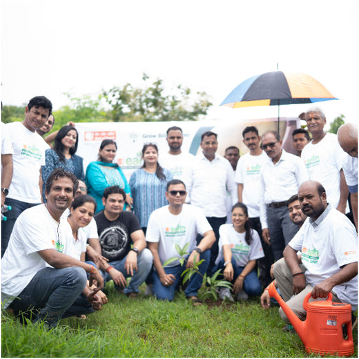 A Century and Beyond: Bank of Baroda's Green Celebration for 117 Years – Planting