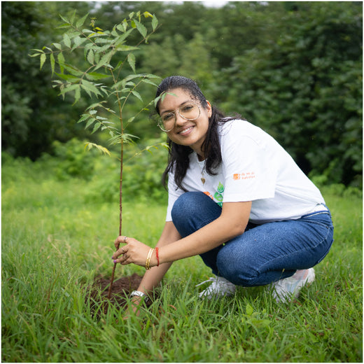 A Century and Beyond: Bank of Baroda's Green Celebration for 117 Years – Planting