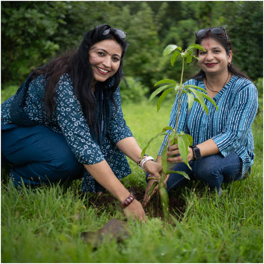 A Century and Beyond: Bank of Baroda's Green Celebration for 117 Years – Planting