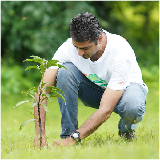 A Century and Beyond: Bank of Baroda's Green Celebration for 117 Years – Planting
