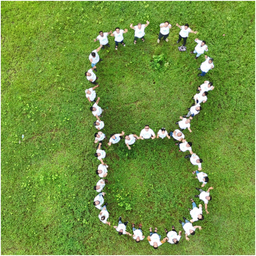 A Century and Beyond: Bank of Baroda's Green Celebration for 117 Years – Planting