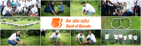 Bank Of Baroda Forest in Badlapur